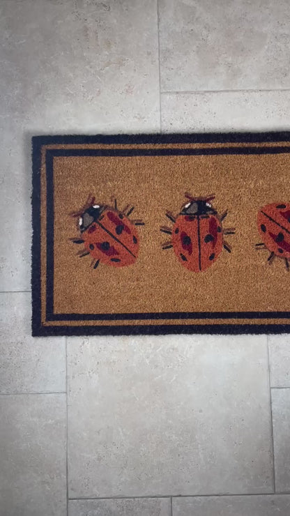 Ladybird Coir Doormat